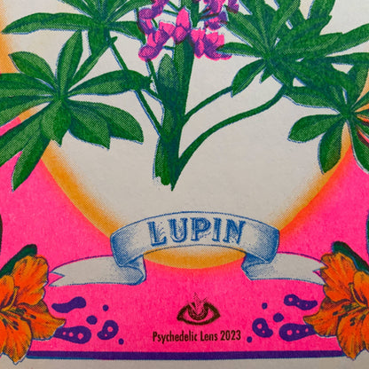 Small Lupine Riso Print