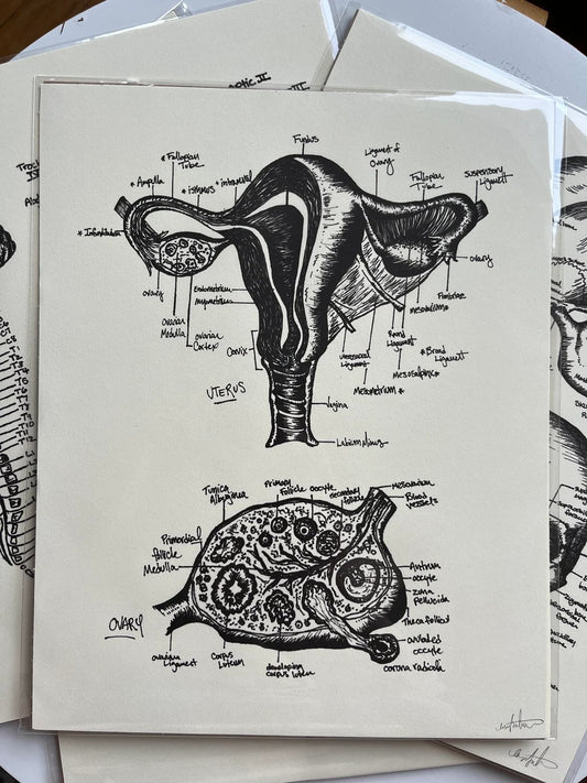 Uterus Print 8x10" - 1