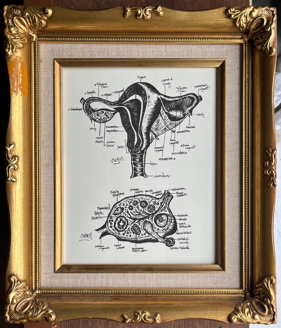 Uterus Print 8x10" - 2