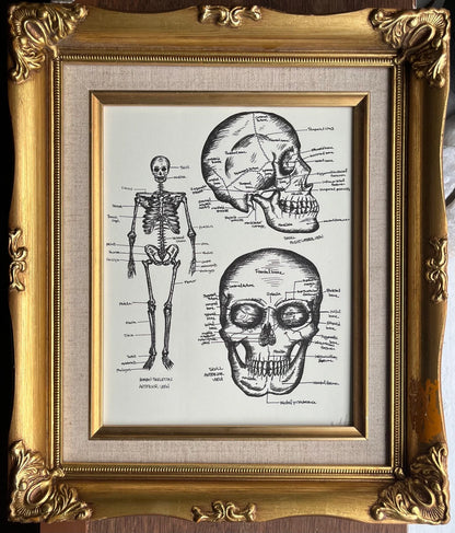 Skeletal Print 8x10"  - 3