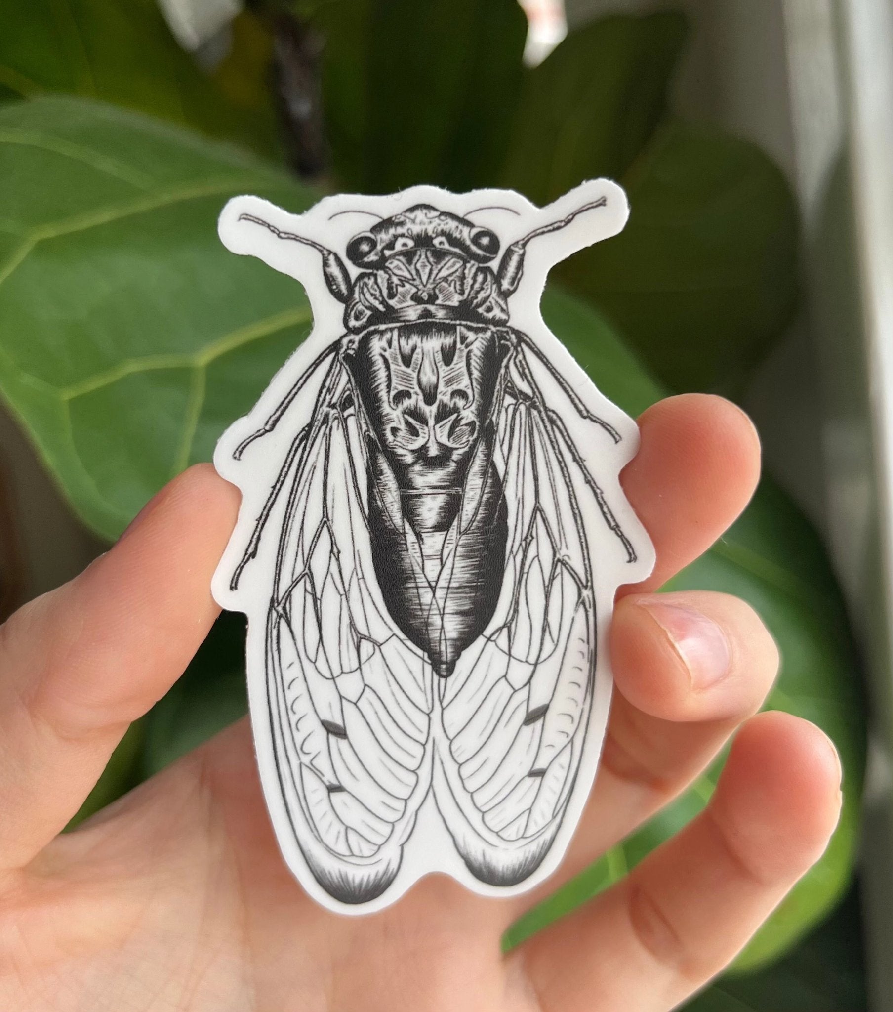 Cicada Sticker 3" - 2