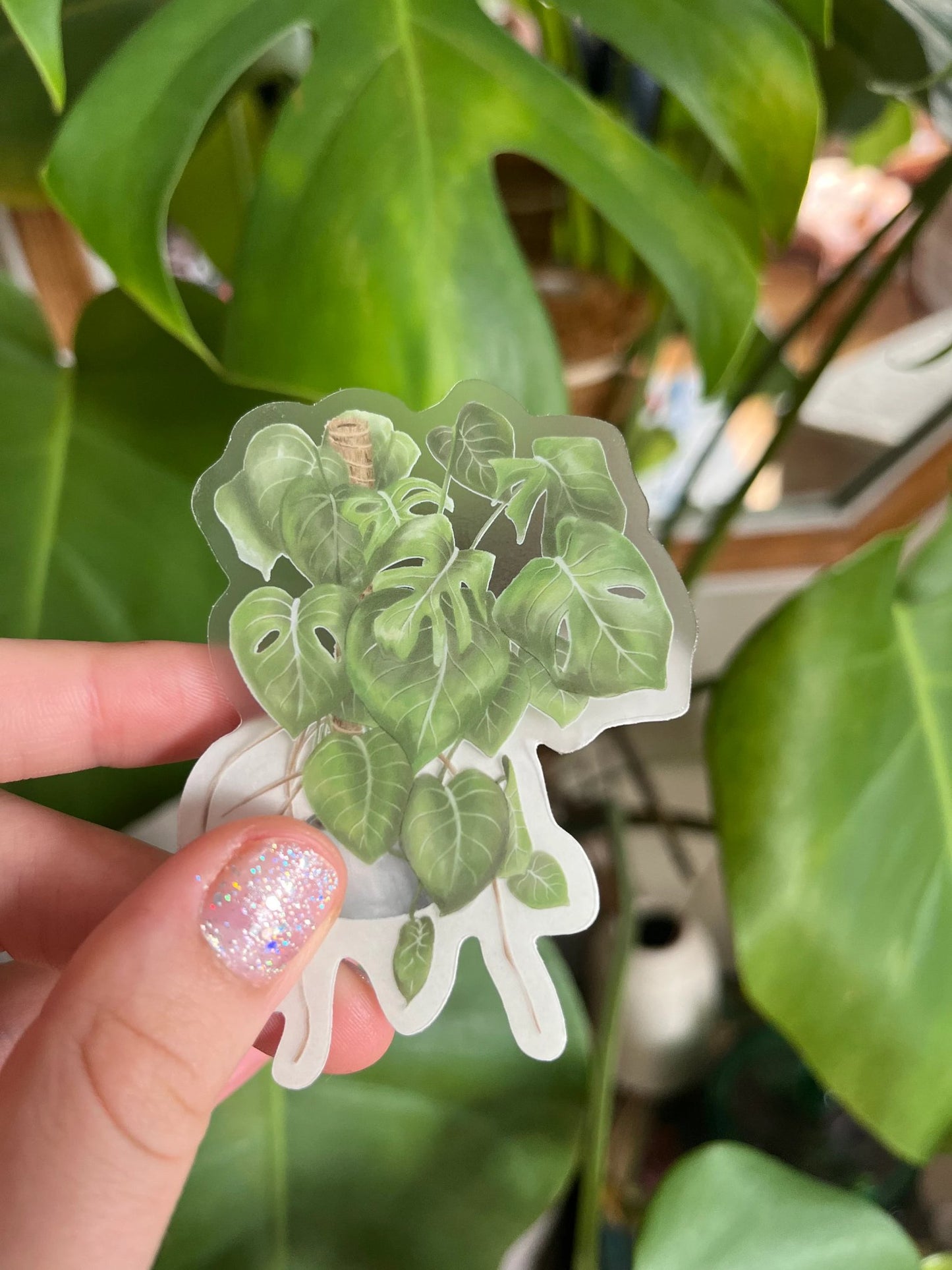 Monstera Clear Sticker - 1