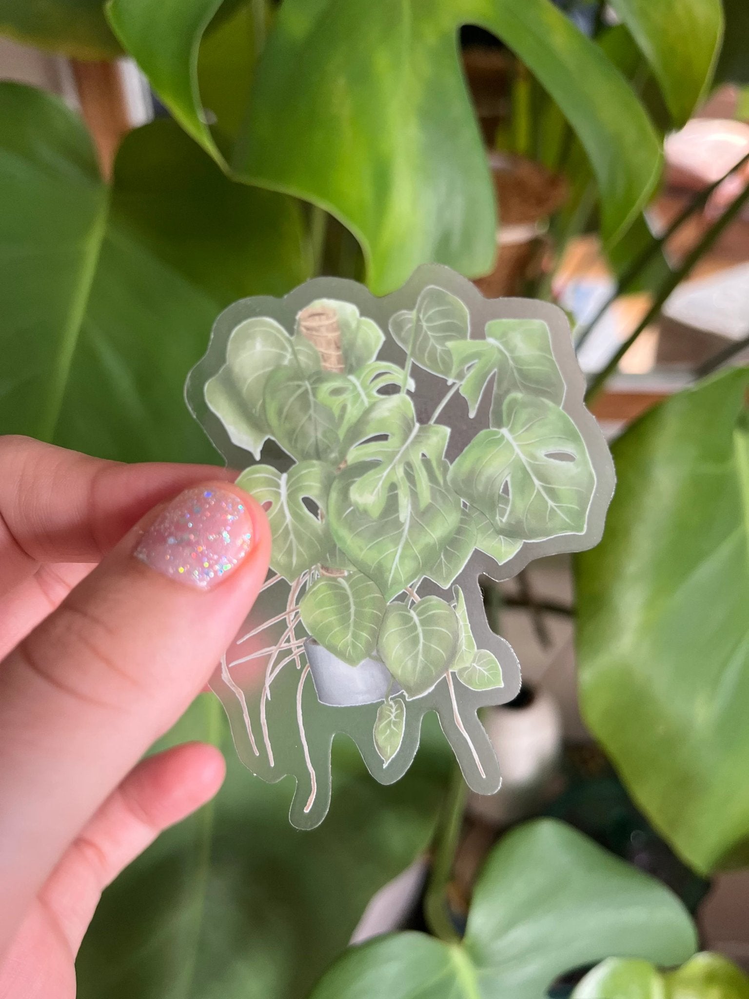 Monstera Clear Sticker - 2