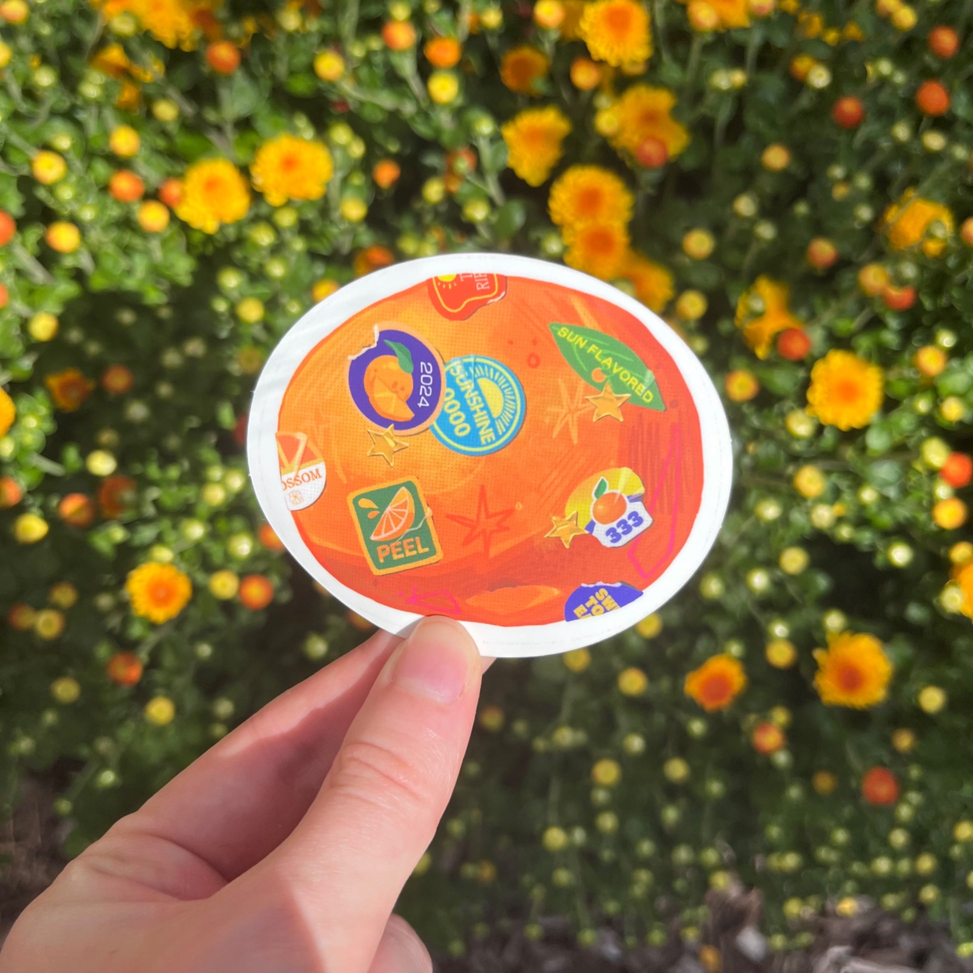 Orange Fruit Sticker - 2