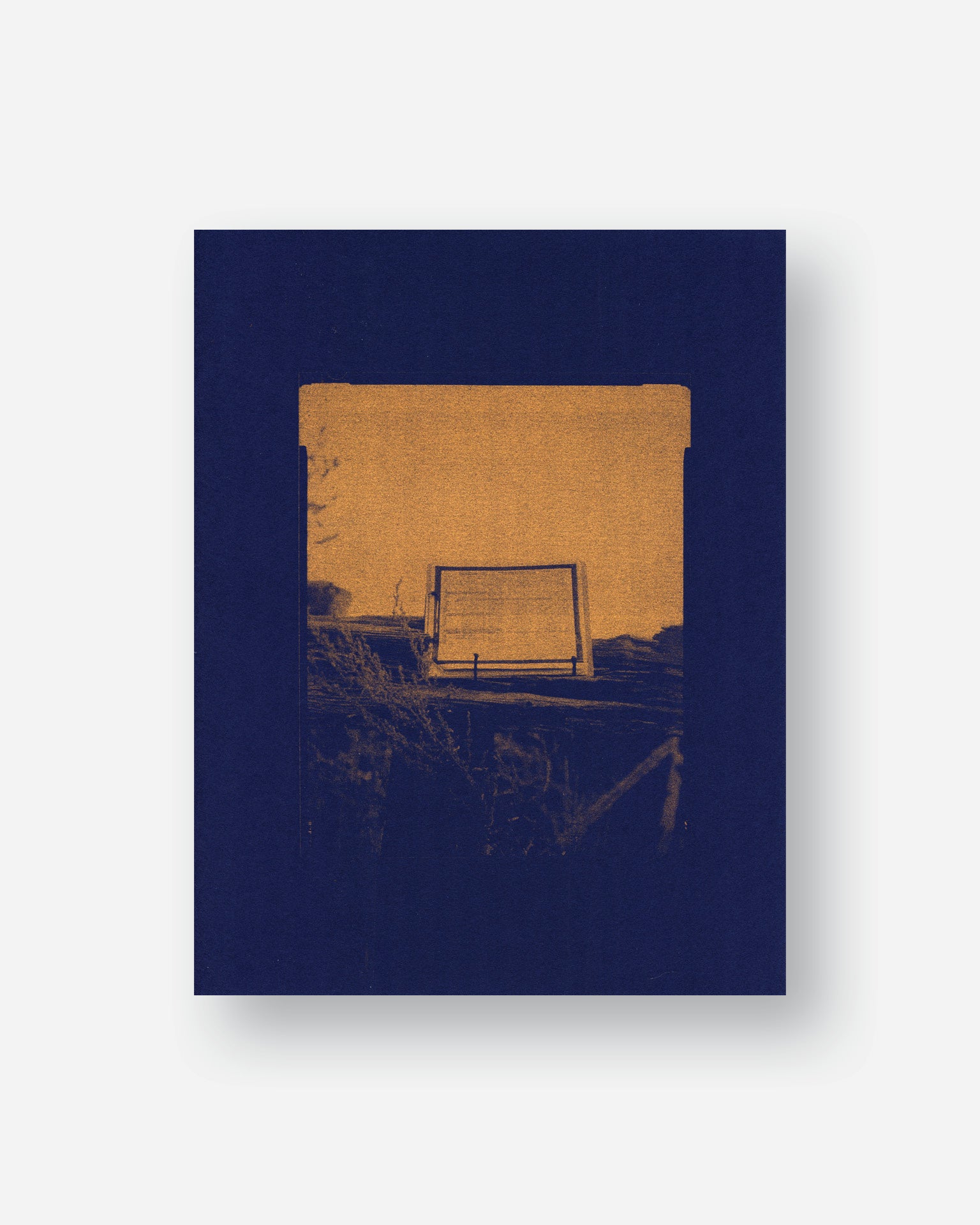 Census In Situ – Riso Print